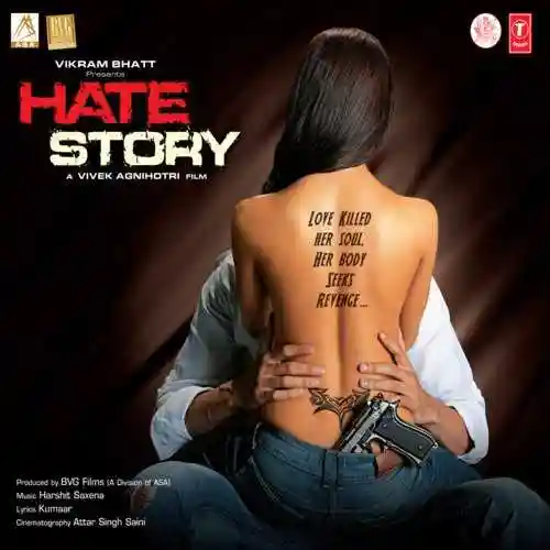 Hate Story 2012 cover image
